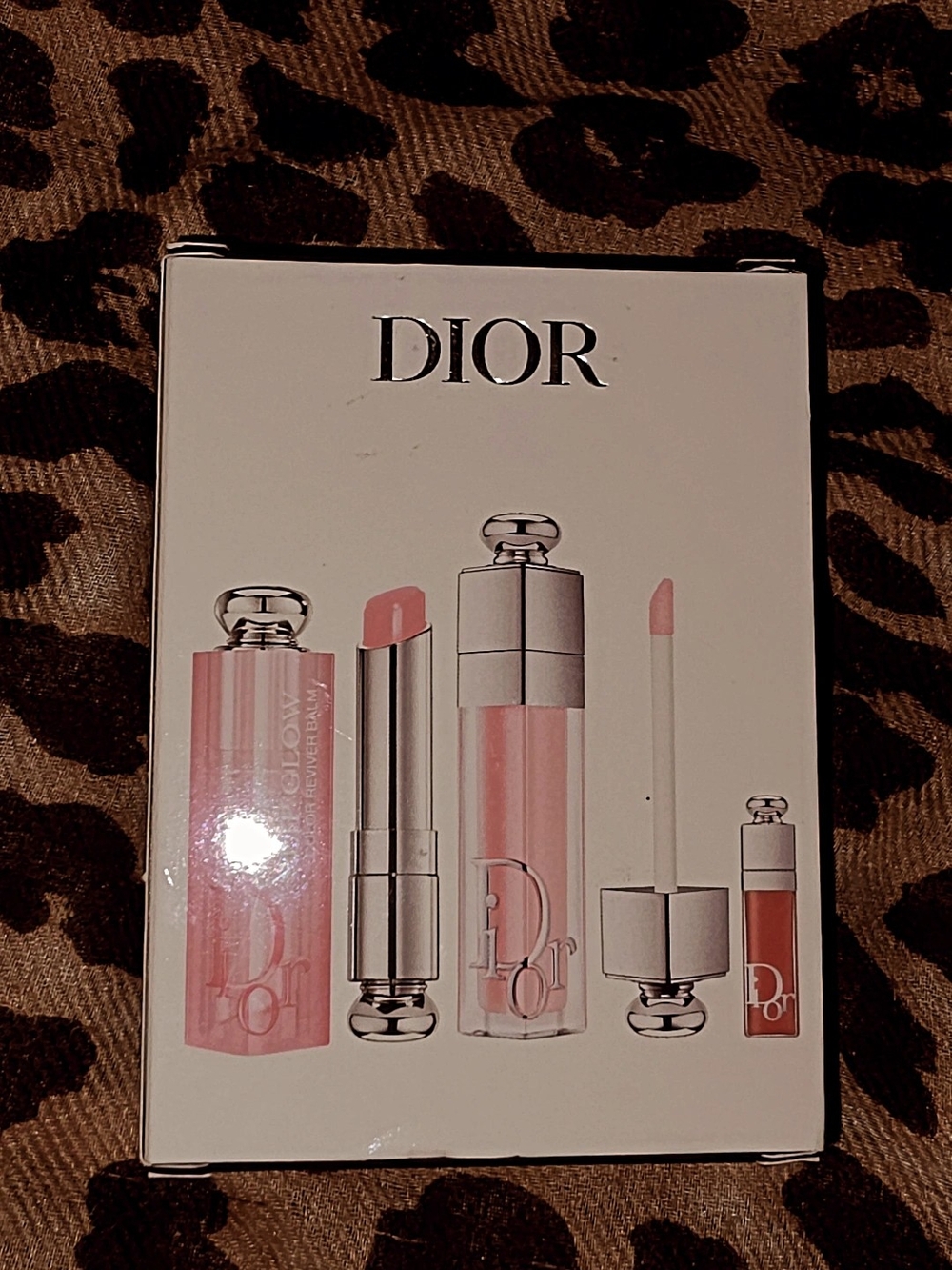Dior Lip Trio Set — Light Pink & Nude Shades